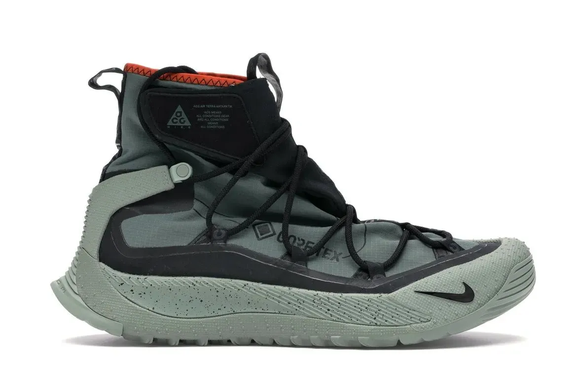 Nike ACG Terra Antarktik Gore-Tex Juniper Fog Shoes