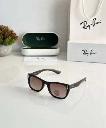 Rayban 2248 Brown Sunglasses